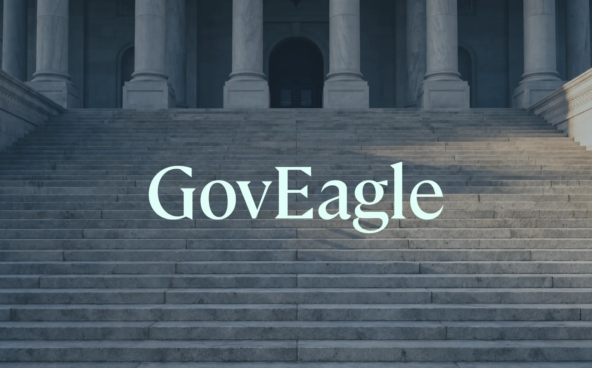GovEagle identity on stone steps